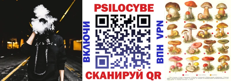 Псилоцибиновые грибы Magic Shrooms  Чишмы 